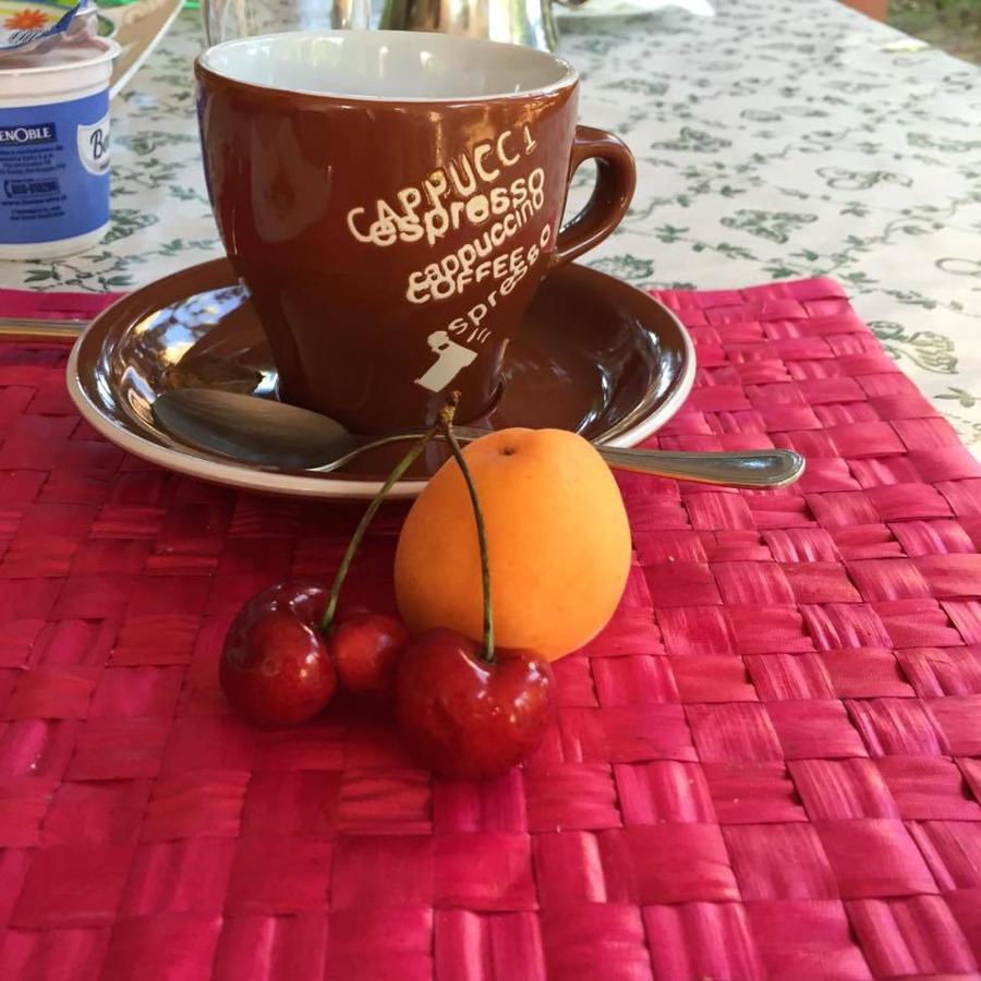 Homestay Garden Fiorella *